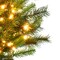 Holiday Bright Lights Celebrations 7 ft. Pencil LED 250 ct Highland Green Spruce Christmas Tree T2SF70P04A - alternate 3